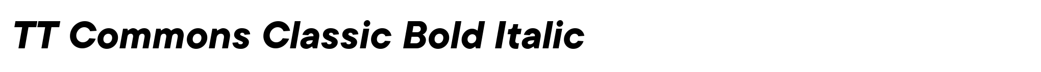 TT Commons Classic Bold Italic image
